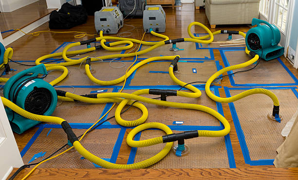 Professional Water Extraction technician working in Grimes, IA
